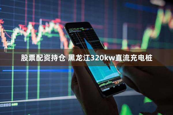 股票配资持仓 黑龙江320kw直流充电桩
