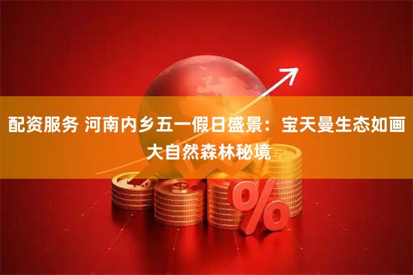 配资服务 河南内乡五一假日盛景：宝天曼生态如画 大自然森林秘境