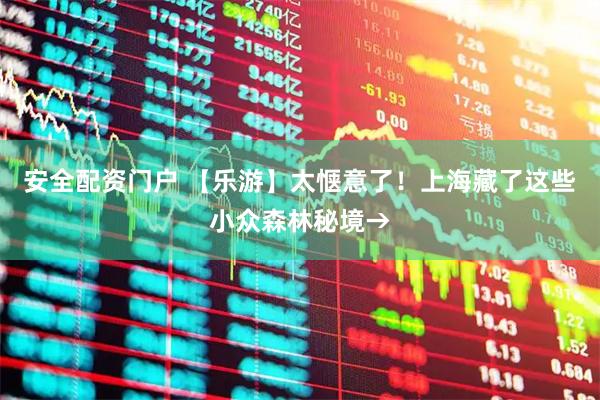 安全配资门户 【乐游】太惬意了！上海藏了这些小众森林秘境→