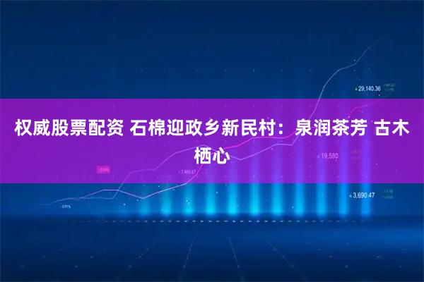 权威股票配资 石棉迎政乡新民村:泉润茶芳 古木栖心