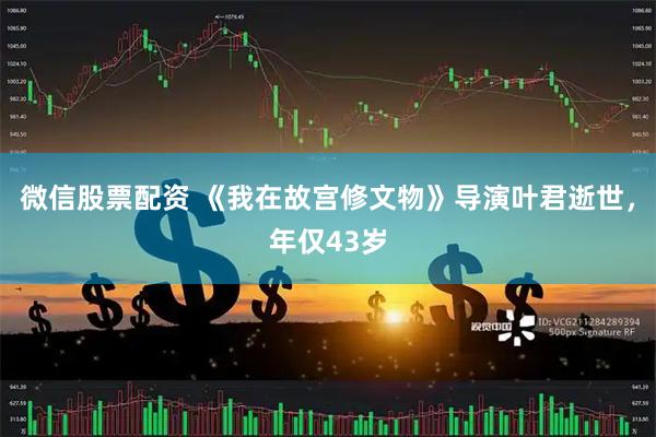 微信股票配资 《我在故宫修文物》导演叶君逝世，年仅43岁